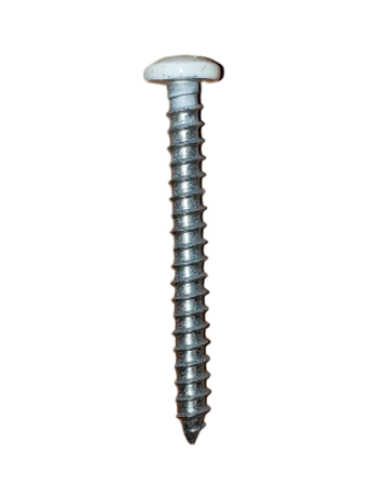 Picture of #12 x 2" SS Phillips Pan Head Screws - White