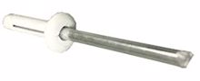 Picture of 3/16" Pop Rivets White